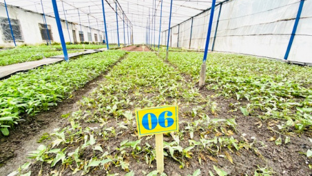 Xây dựng nhà máy xanh ở DAP-Vinachem