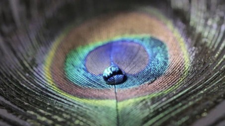 Nhật Bản phát triển vật liệu mới có thể thay đổi màu sắc khi thay đổi áp suất