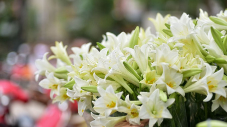 Thời tiết 30-3: Bắc bộ trời nắng, nền nhiệt tăng nhanh