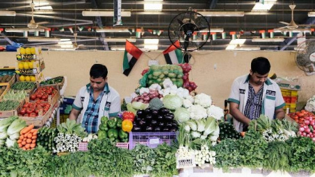 Cảnh báo doanh nghiệp Việt thận trọng, tránh bẫy lừa đảo tại UAE