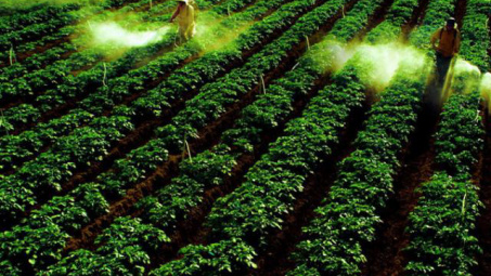 Phân bón Văn Điển - Hướng đến lợi ích chung giữa doanh nghiệp và nhà nông