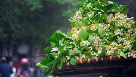 Thời tiết 9-3: Bắc bộ sáng sớm có mưa nhỏ, mưa phùn, trưa chiều hửng nắng