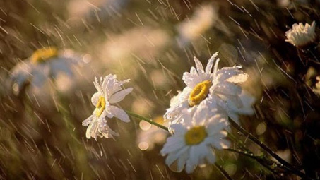 Thời tiết 18-4: Khu vực Bắc Bộ có mưa vừa, mưa to