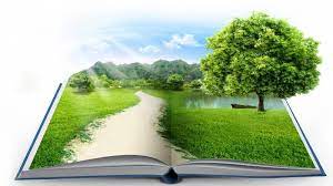 Sự cần thiết của kiểm toán môi trường và việc vận dụng kiểm toán môi trường vào Việt Nam hiện nay