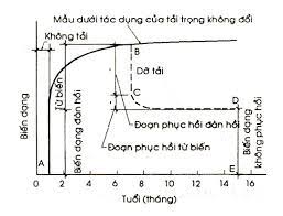 Bàn về từ biến của bê tông và ảnh hưởng của từ biến tới ứng xử dài hạn trên kết cấu công trình