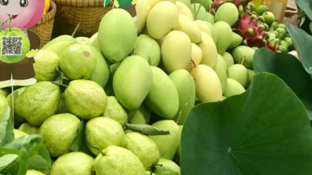 Thị phần trái xoài, ổi và măng cụt Việt Nam tại Nga tăng mạnh