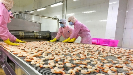 Tôm Việt chiếm ưu thế tại thị trường Nhật Bản