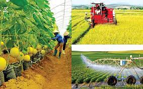 Kinh nghiệm về chuyển dịch cơ cấu kinh tế nông nghiệp theo hướng xuất khẩu bền vững của một số địa phương ở trong và ngoài nước và bài học cho tỉnh Thái Bình