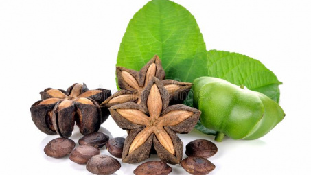 Khảo sát các điều kiện thu hồi dầu từ hạt cây Sacha inchi (Sachi) trồng tại Việt Nam bằng phương pháp cơ học