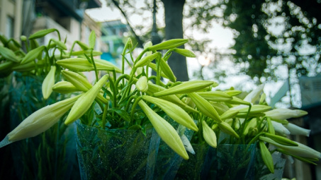 Thời tiết 9-4: Hà Nội trời chuyển mưa lạnh