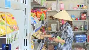 Hệ thống điểm bán lẻ hàng tiêu dùng thiết yếu của doanh nghiệp Việt Nam ở khu vực nông thôn đồng bằng sông Hồng: Thực trạng và khuyến nghị