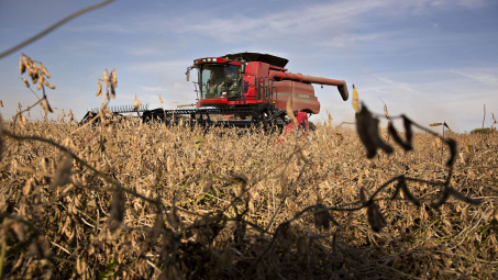 Giá dầu đậu nành quốc tế đạt mức cao kỷ lục, tăng 140% so với cùng kỳ năm 2020