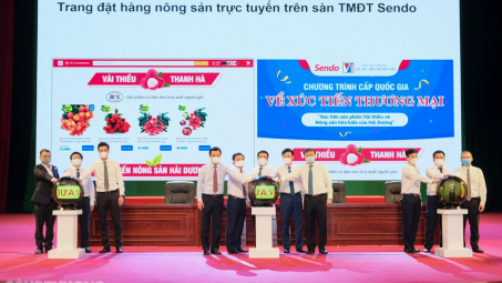 Vải thiều Thanh Hà lần đầu lên sàn điện tử: Liên kết "kim cương" trên nền tảng "vàng"
