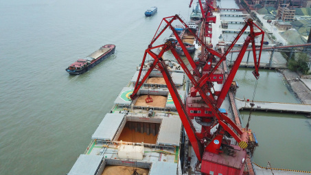 Lượng đậu tương được giao dịch trên toàn cầu niên vụ 2021/2022 sẽ đạt mức kỷ lục