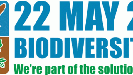 Bộ Công Thương lan tỏa thông điệp chung tay phục hồi hệ sinh thái và bảo tồn đa dạng sinh học