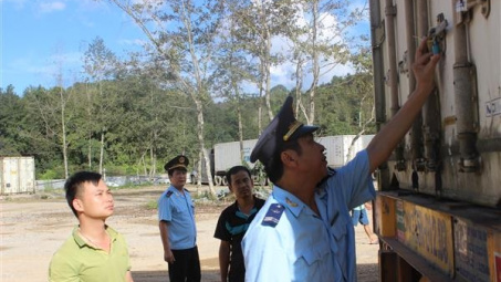 2,5 tỷ USD kim ngạch tái xuất hàng hóa trong quý 1/2021