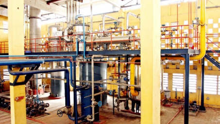 Viện Hóa học Công nghiệp Việt Nam sản xuất keo UF và UMF sử dụng trong ván ép đạt tiêu chuẩn xuất khẩu