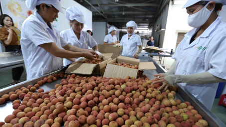 Cơ chế cấp giấy chứng nhận xuất xứ hàng hóa mẫu AJ để hưởng ưu đãi trong AJCEP