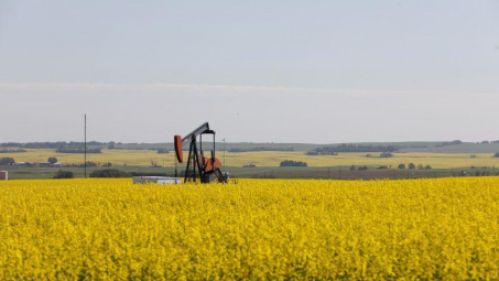 Giá dầu thô phục hồi nhẹ, thị trường lao động Hoa Kỳ bước vào giai đoạn bùng nổ