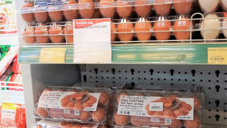 Trứng gà sạch Hòa Phát đã vào hàng loạt siêu thị