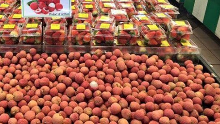 Bắc Giang: 5 doanh nghiệp thu mua, xuất khẩu vải thiều sang thị trường Nhật Bản