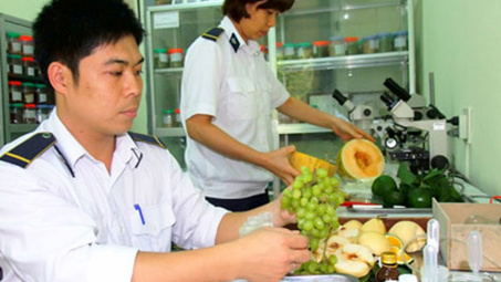 6 trường hợp được miễn phí kiểm dịch thực vật xuất khẩu, nhập khẩu