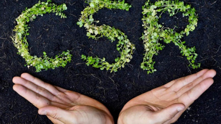 Một số khung pháp lý cho việc lập báo cáo trách nhiệm xã hội