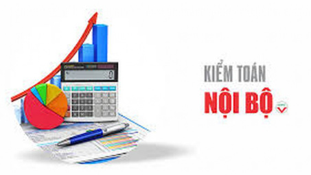 Đánh giá tính hiệu quả của kiểm toán nội bộ tại các ngân hàng thương mại Việt Nam