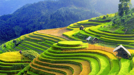 Thực trạng phát triển ngành chế biến nông sản tại khu vực Bắc Trung bộ