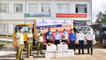 Công ty Nhôm Đắk Nông - TKV hỗ trợ tiêu thu 6 tấn vải thiều Bắc Giang