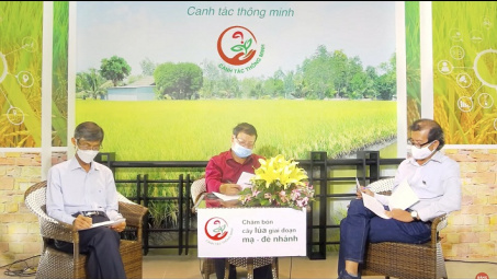 Tư vấn trực tuyến kỹ thuật canh tác cho nông dân trồng lúa vùng ĐBSCL