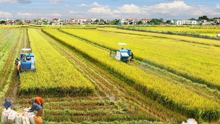 Giải bài toán giám sát việc thực hiện quy hoạch liên kết vùng