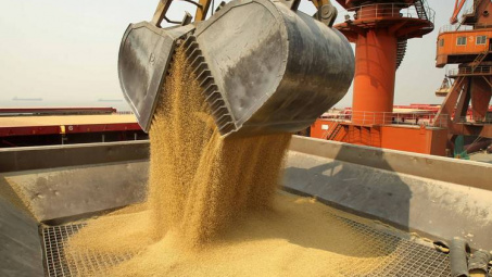 Trung Quốc thu mua đậu tương ồ ạt trên toàn cầu