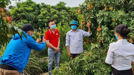 Nông dân 5 tỉnh đồng loạt bán nông sản trên sàn Sendo