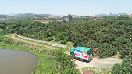 Mô hình thương mại điện tử xuyên biên giới đưa vải thiều Bắc Giang sang EU