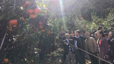 Chuyển dịch cơ cấu vật nuôi cây trồng ở một huyện miền núi