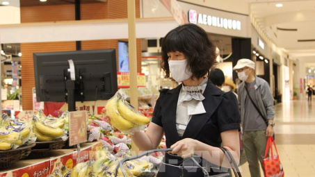 Chuối Việt Nam bắt đầu có chỗ đứng tại thị trường Nhật Bản