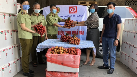 QLTT Hà Nội triển khai hỗ trợ Bắc Giang tiêu thụ vải thiều