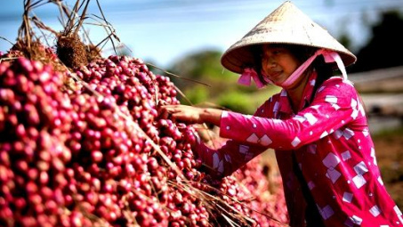 Giải pháp giảm nghèo bền vững trong đồng bào Khmer Sóc Trăng hiện nay