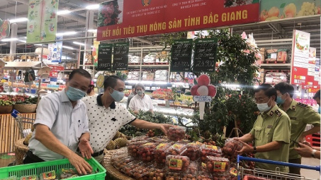 Đội QLTT số 22 Cục QLTT Hà Nội và MM Mega Market Thăng Long chung tay hỗ trợ tiêu thụ vải thiều Bắc Giang
