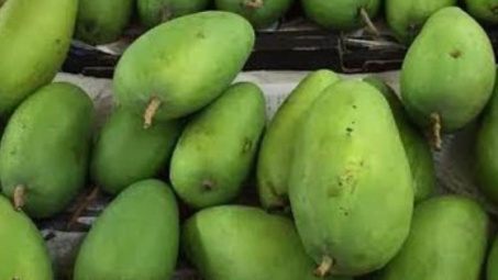 Xoài xanh Việt có bán giá gần 300.000 đồng/kg tại Australia