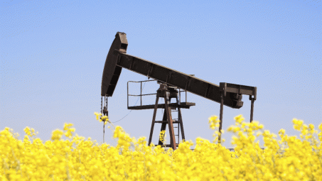 Giá dầu thô bật tăng mạnh, UAE phản đối kế hoạch nâng sản lượng khai thác của OPEC+