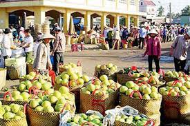 Vietnam’s agricultures exports to Chinese market - The effects of external factors