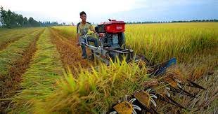 Phân tích những thách thức và cơ hội chuyển dịch cơ cấu kinh tế vùng Đồng bằng sông Cửu Long