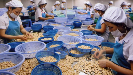 Hàn Quốc thay đổi thời hạn và kiểm tra tại nguồn với cơ sở sản xuất thực phẩm nhập khẩu