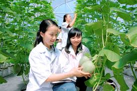 Giải pháp phát triển nguồn nhân lực cho ngành Nông nghiệp Việt Nam