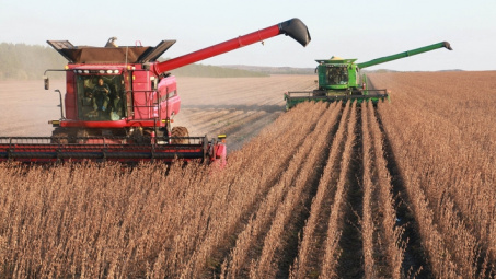 Thị trường nông sản diễn biến trái chiều, Trung Quốc sẽ đẩy mạnh nhập khẩu đậu tương từ Hoa Kỳ