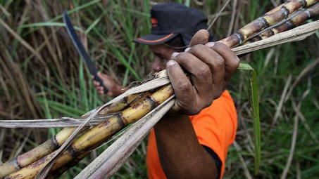 Giá đường thế giới chạm mức cao kỷ lục, nguồn cung đường từ Brazil giảm mạnh