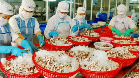 Giá trị xuất nhập khẩu của khối doanh nghiệp trong nước tăng 23,1%