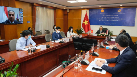 Việt Nam - Ai Cập thúc đẩy hợp tác thương mại, công nghiệp trong bối cảnh dịch bệnh